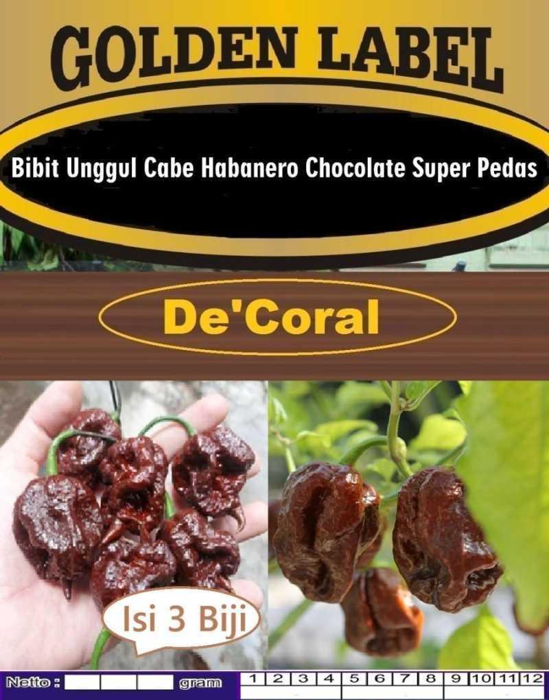 Daftar Habanero Tergacor: Pilihan Terbaik Untuk Pedas dan Lezat